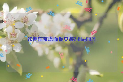 欢迎在宝塔面板安装Z-BlogPHP！